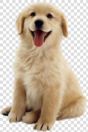 Cottonwood Puppy   Cute Dog Transparent Background  HD Png Download