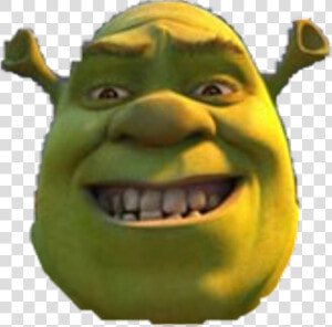 Its Our Lord  Shrek   Shrek Face Transparent  HD Png Download