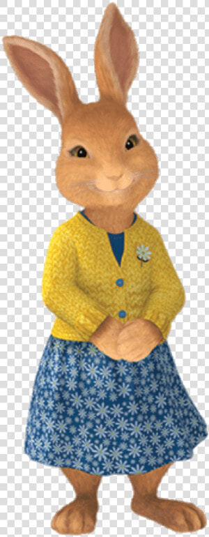 Mrs Rabbit Peter Rabbit  HD Png Download