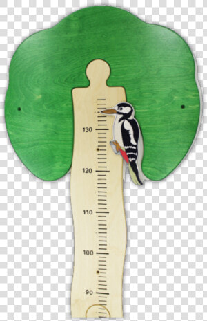 Yardstick Tree Woodpecker Detail   Illustration  HD Png Download