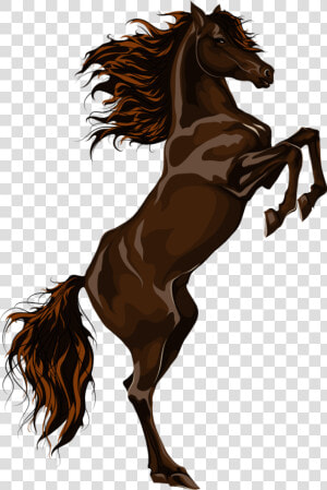 Transparent Running Horse Clipart   Black Horse Png Free  Png Download