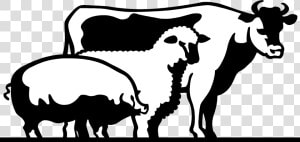 4 H Livestock Of Clipart   Livestock Clipart  HD Png Download