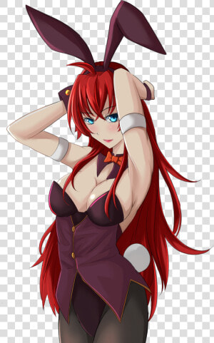 Highschool Dxd Png  Transparent Png