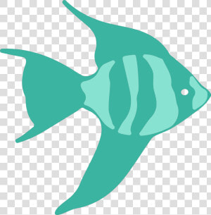 Transparent Angelfish Png  Png Download