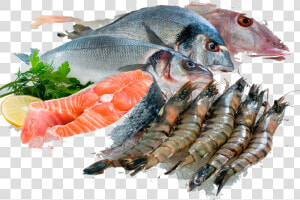 Fresh Fish Png   Sea Fish For Eating  Transparent Png