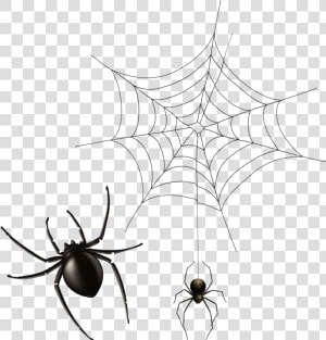 Transparent Cobwebs Png   Transparent Background Spider Web Png  Png Download