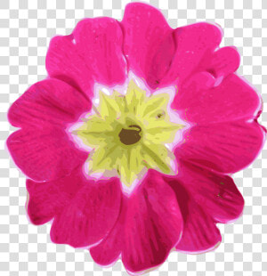 Flower 11 Clip Arts   Pink Flower Clip Art  HD Png Download