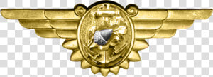 Wwii Naval Flight Nurse Insignia   Ww2 Badge Png  Transparent Png