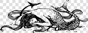 Sleeping Mermaid Clip Arts   Black And White Mermaid Png  Transparent Png