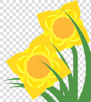 Clipart  Daffodil  Narcissus  Spring  Flower  Plant   Daffodil Clipart Png  Transparent Png