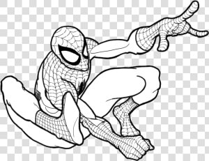 Homem Aranha Para Colorir E Pintar   Homem Aranha Para Pintar  HD Png Download