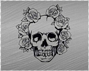 Skull With Roses Poster 20 X16   Disegni Facili Da Disegnare  HD Png Download