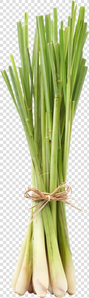 Lemongrass Bunch  HD Png Download