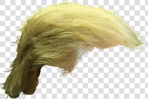 Donald Trump Frisur Transparent  HD Png Download