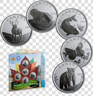 2019 Canadian 50 Cent Canada’s Wildlife Treasures 5   Ensemble Monnaies 50 Cents Trésor De La Faune Canadienne  HD Png Download