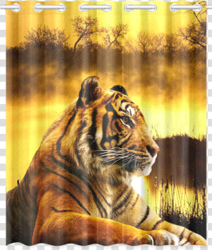 Tiger And Sunset New Window Curtain   London Zoo  HD Png Download