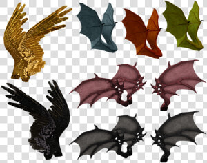 Wing  Wings  Feather  Demon  Dragon  Bat  Monster   Vampire Bat  HD Png Download