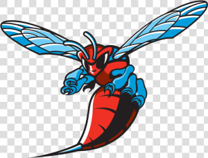 Delaware State University Hornet Logo  HD Png Download