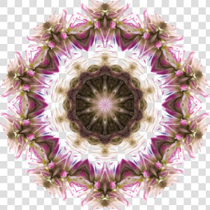 Wildflower Kaleidoscope 7 Clip Arts   Fractal Art  HD Png Download