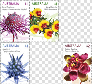 Wild Flowers Png   Australia Post  1 Stamp  Transparent Png