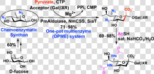 The Top Left Shows A Chemoenzymatic Synthon Easily   Chemical Synthesis Of Carbohydrates  HD Png Download