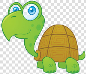 Transparent Turtle Cartoon Png   Cute Turtle Cartoon  Png Download