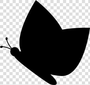 Butterfly Black Silhouette From Side View Comments   Butterfly Silhouette Side Png  Transparent Png