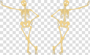 Skeleton Hand On Hip   Skeleton Hands On Hips  HD Png Download