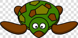 Transparent Cute Turtle Png   Cartoon Turtle Clipart  Png Download