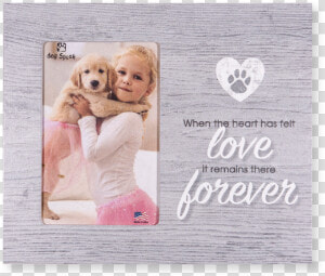 When The Heart Has Felt Love Class   Cocker Spaniel  HD Png Download