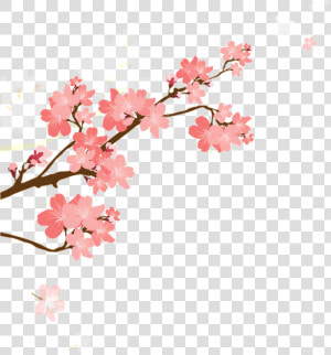 Korean Style Cherry Blossom Cartoon Transparent   Cherry Blossom Cartoon Png  Png Download