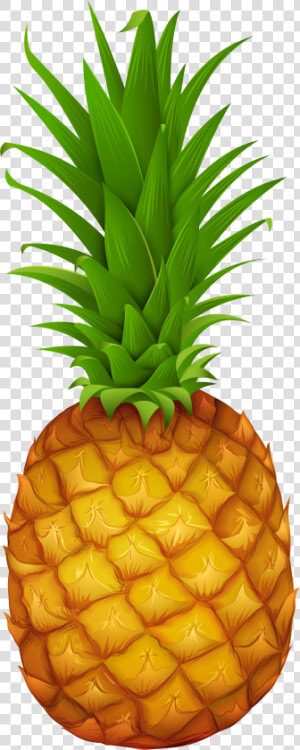 Clip Art Pineapple Gallery Yopriceville High   Clip Art Pineapple Png  Transparent Png