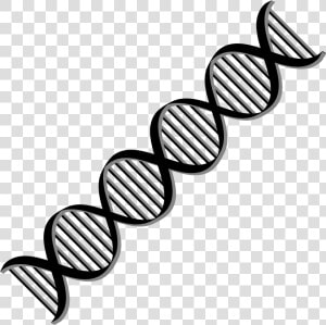 Dark And Dna Background   Clipart Dna Double Helix  HD Png Download