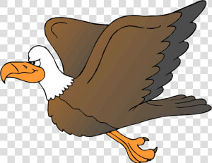 Eagle Cartoon Clipart Collection Transparent Png   Eagle Cartoon Clipart  Png Download