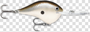 Rapala Dt 20  HD Png Download