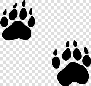 Transparent Paw Print Clipart   Bear Paw Print Png  Png Download