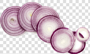 Onion Sliced Transparent Png   Png Download  Png Download