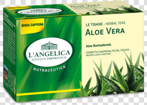 Tisana Caffè Verde L Angelica  HD Png Download