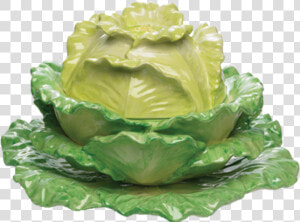 Transparent Cabbage Png   Cabbage  Png Download