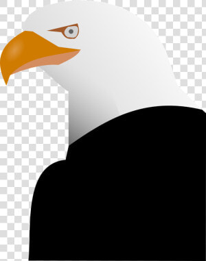 Eagle Vector Graphics   Mentahan Eagle Vector Png  Transparent Png