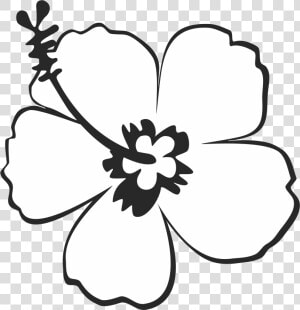 Excelent 999 Flower Clipart Black And White  free Download    Hibiscus Flower Clipart Black And White  HD Png Download