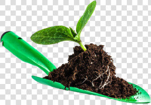 Leaves In Soil Png Image   Png Shovel In Soil  Transparent Png