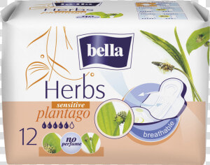 Bella Herbs  HD Png Download