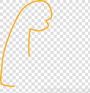 Begin With Sketching A Fist Shape With An Arm   Png  Transparent Png