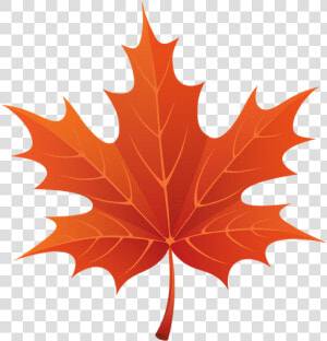 Красный Кленовый Лист  Осень  Канада  Red Maple Leaf    Maple Leaf Clipart  HD Png Download