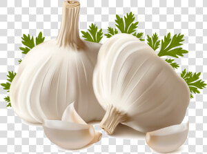 Garlic Png Image   Garlic Png  Transparent Png