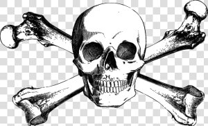 And Bones Drawing Skull Crossbones Free Download Png   Free Skull And Crossbones  Transparent Png