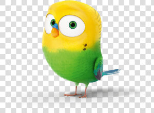 Mascotas Alitas   Bird From Secret Life Of Pets  HD Png Download