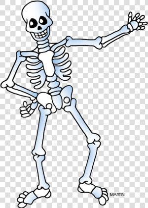 Free Skeleton Public Domain Halloween Images Clipart   Halloween Skeleton Clipart  HD Png Download