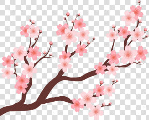 Collection Of Free Vector Trees Plum Blossom Download   Cherry Blossom Branch Png  Transparent Png